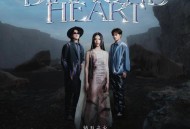 飞儿乐团2021年专辑《钻石之心》[无损flac|320K高品质MP3]网盘下载