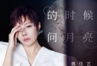 魏佳艺《想你的时候问月亮》[无损flac]网盘下载