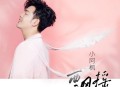 小阿枫《飘摇》[无损flac|320K高品质MP3]网盘下载