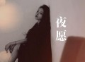 洋澜一《夜愿》[FLAC/MP3-320K]网盘下载