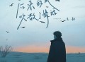 王韵《后来的风吹散了情话》[无损FLAC|320K高品质MP3]网盘下载