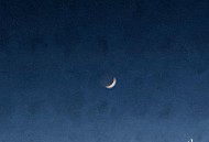 欧阳娜娜《飞吧月光》[无损FLAC|320K高品质MP3]网盘下载