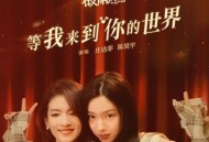 庄达菲、陈昊宇《等我来到你的世界》[无损flac|320K高品质MP3]网盘下载